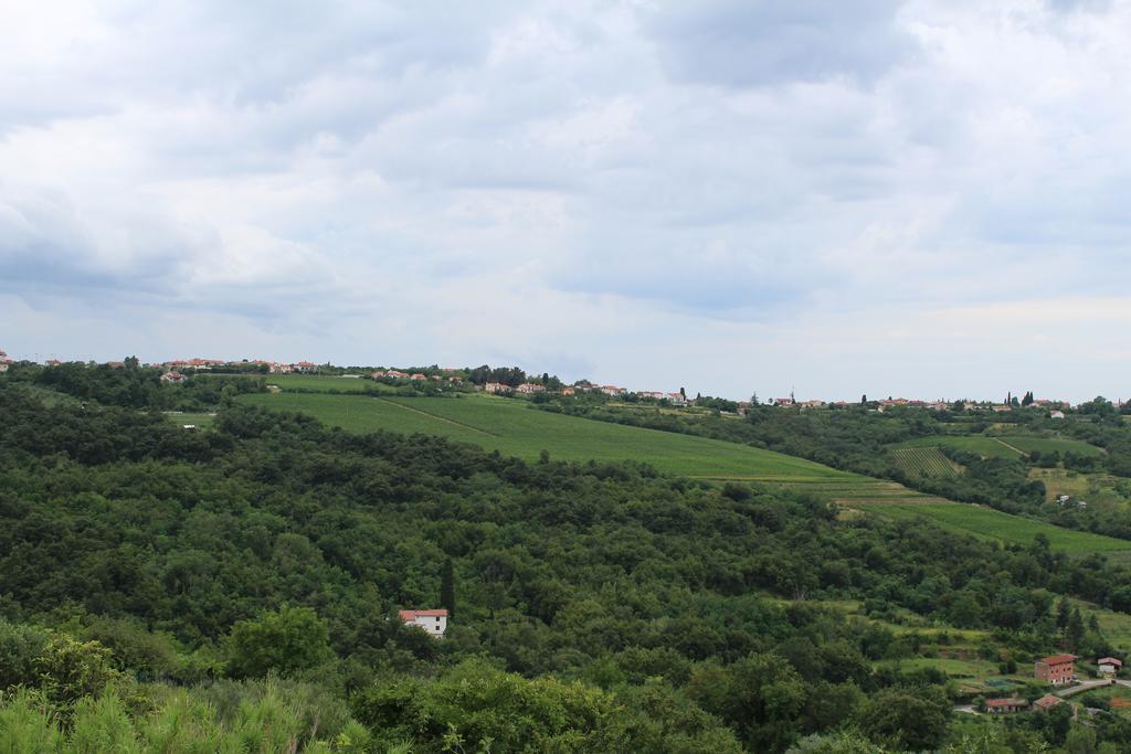 Affittacamere Cigui Múggia المظهر الخارجي الصورة